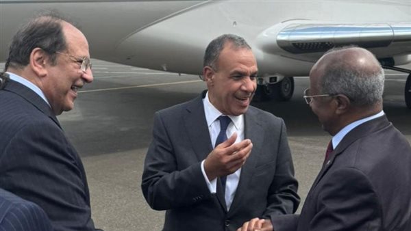 عباس كامل - بدر عبد