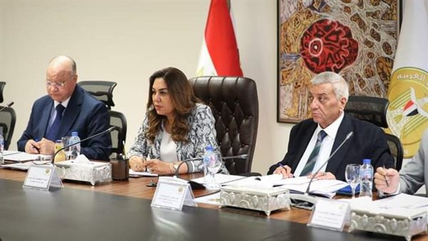 وزيرة التنمية المحلية