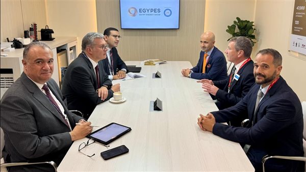 وزير البترول 