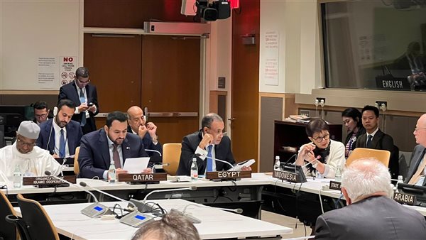 وزير الخارجية بدر