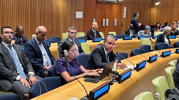 وزير الخارجية بدر