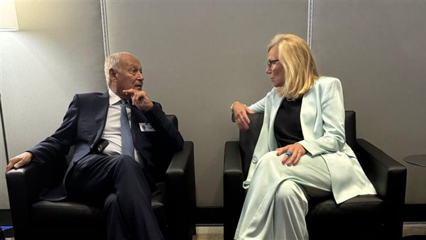 أبو الغيط- كبيرة