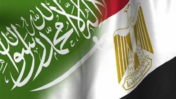 علما مصر والسعودية