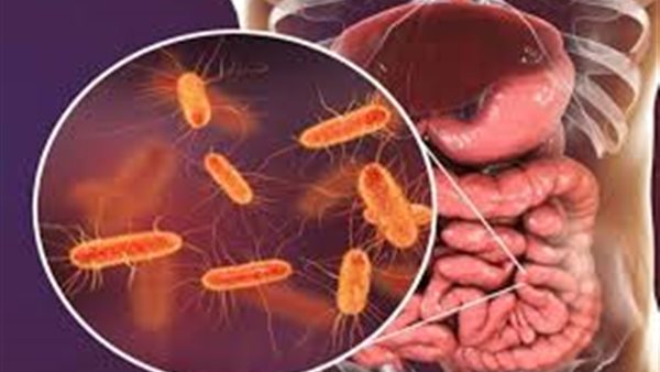 البكتيرية الاشريكية