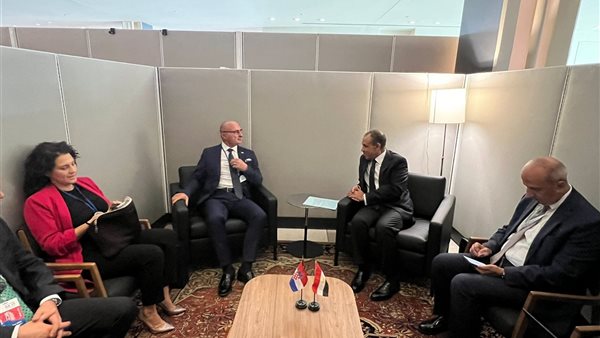 وزير الخارجية المصري