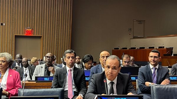 الدكتور بدر عبد العاطي،