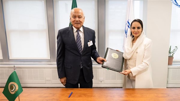 أبو الغيط - دينا