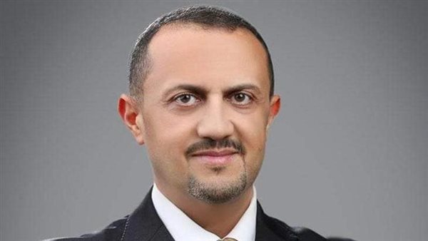 المهندس أيمن فوزي