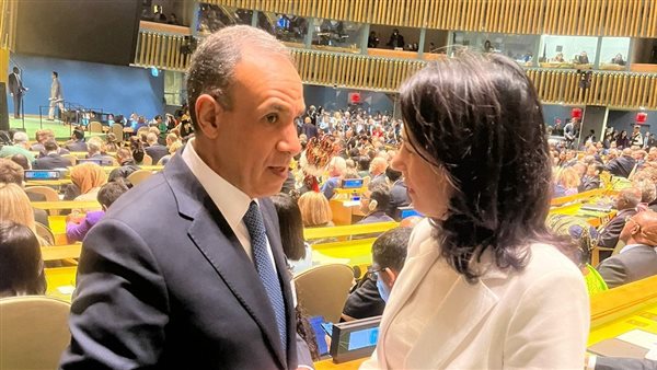 بدر عبد العاطي -