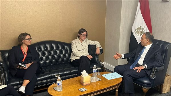 وزير الخارجية يلتقى