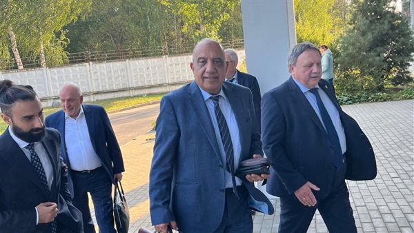 وزير الكهرباء 