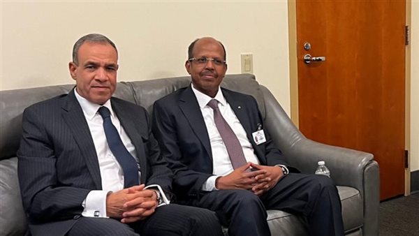 وزير الخارجية يلتقي