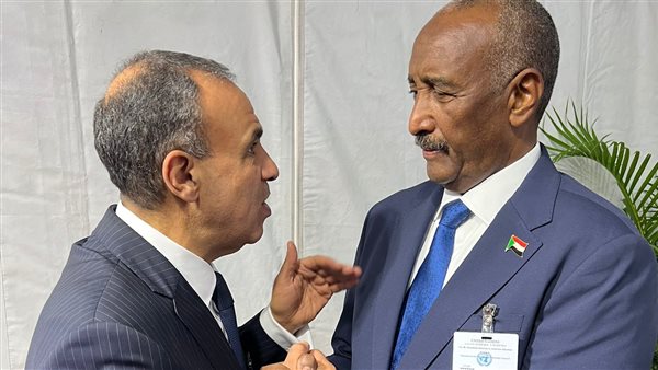 بدر عبد العاطي -