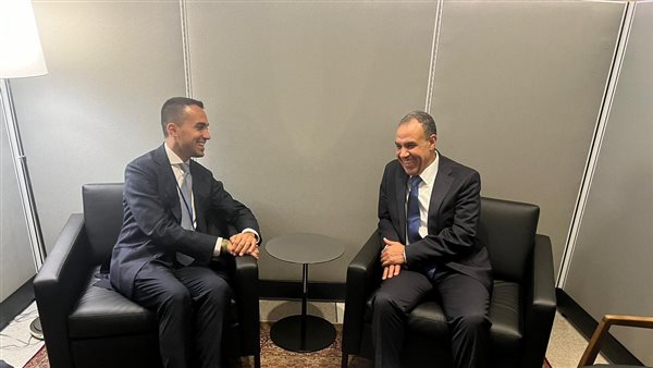 وزير الخارجية والهجرة