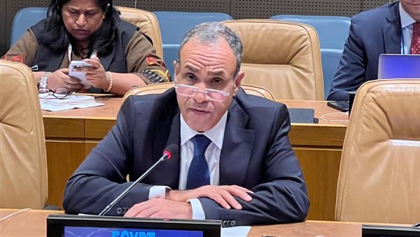 بدر عبد العاطي 