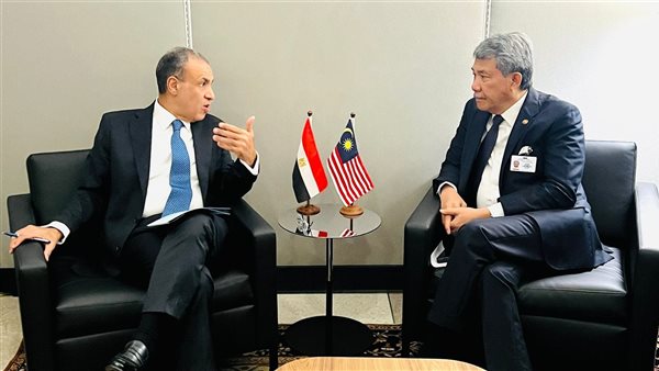 وزير الخارجية يلتقي