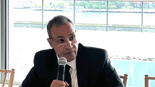 بدر عبد العاطي 