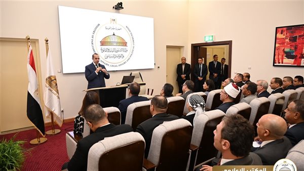 الوزير محمود فوزى