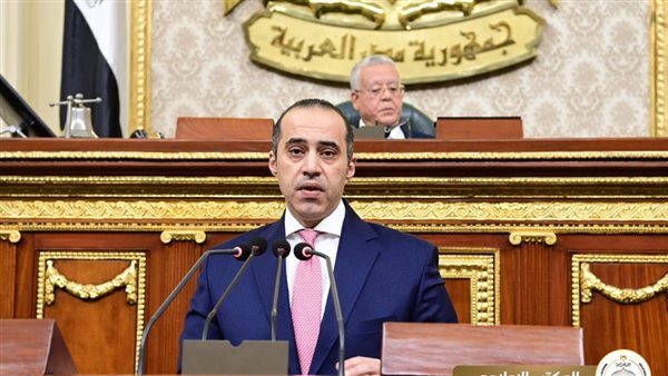 المستشار محمود فوزي