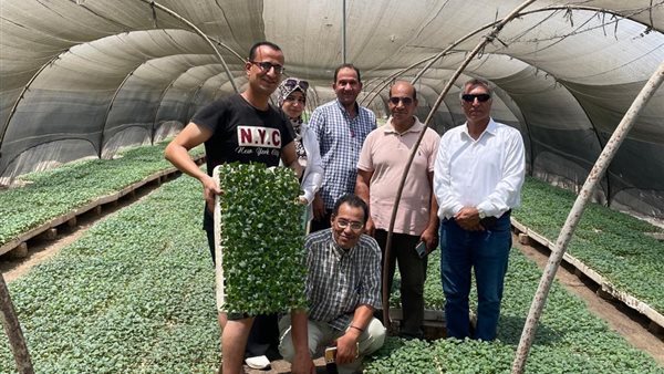 الشتلات الزراعية