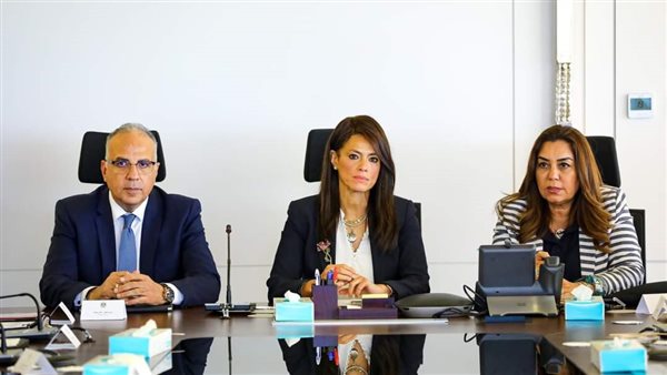 وزيرة التخطيط 