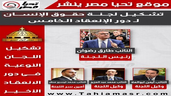 تشكيل لجنة حقوق الإنسان