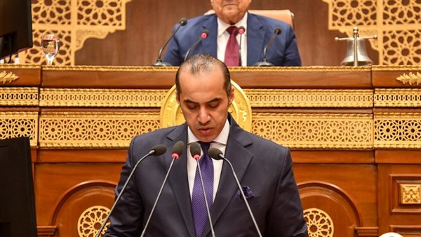 المستشار محمود فوزي