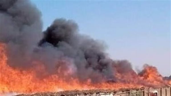 حريق مزرعة كتاكيت