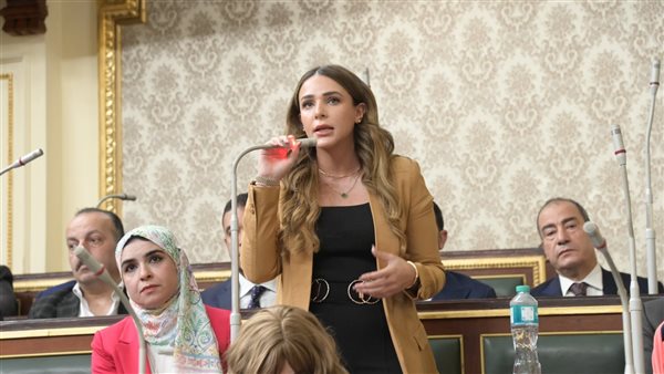  النائبة فاطمة سليم