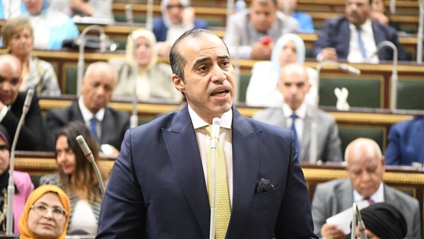 الوزير محمود فوزي