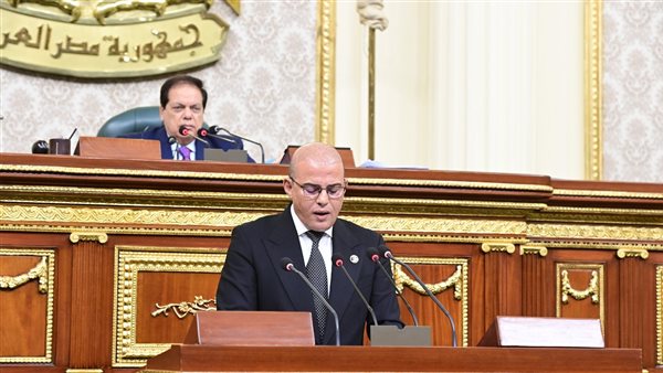 النائب عمرو القطامي