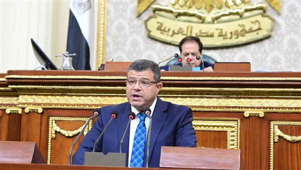 النائب محمد سليمان،