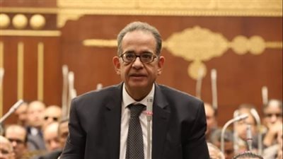 النائب طارق عبد العزيز    