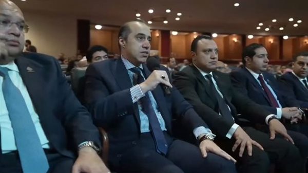 المستشار محمود فوزي