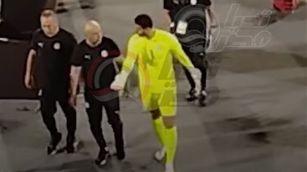 نقاش محمد الشناوي