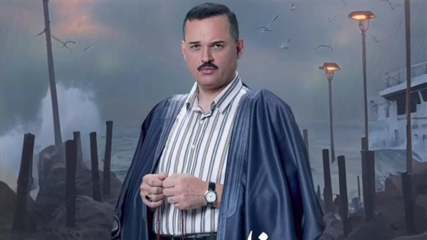 محمد محمود عبد العزيز