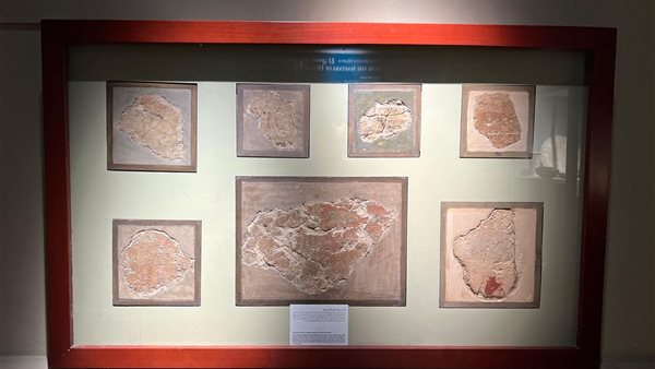 جانب من المعروضات