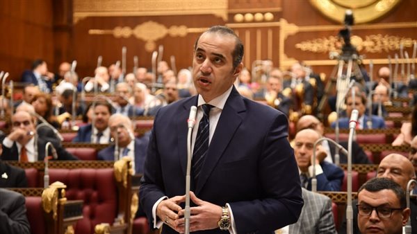 المستشار محمود فوزي