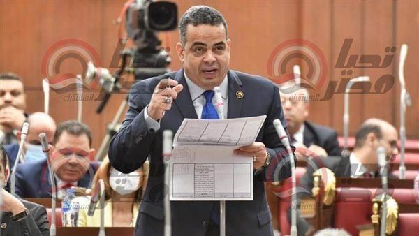 النائب عصام هلال