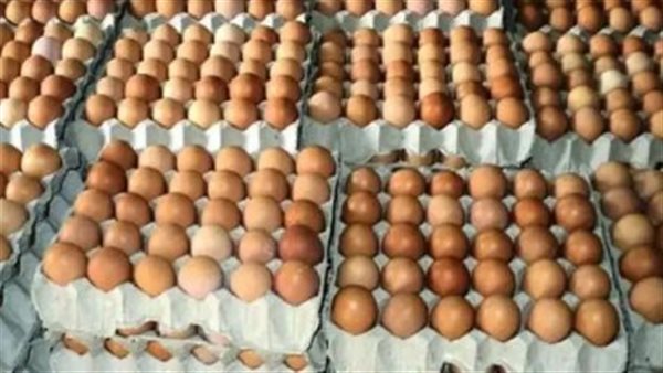 سعر البيض