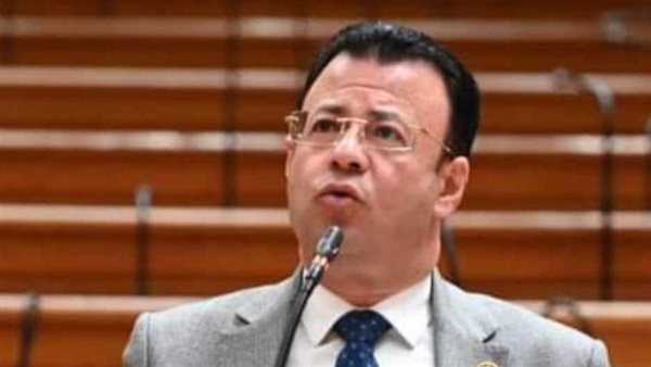 النائب محمود البرعي