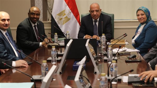 وزير الكهرباء 