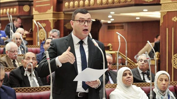 نفيسة هاشم بجوار