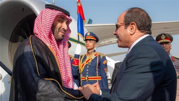 الرئيس السيسي - ولى