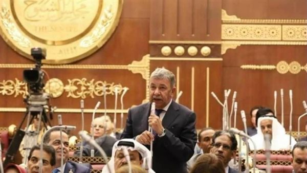 السفير عمرو حلمي