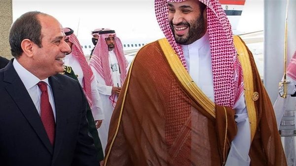 الرئيس السيسي وولي