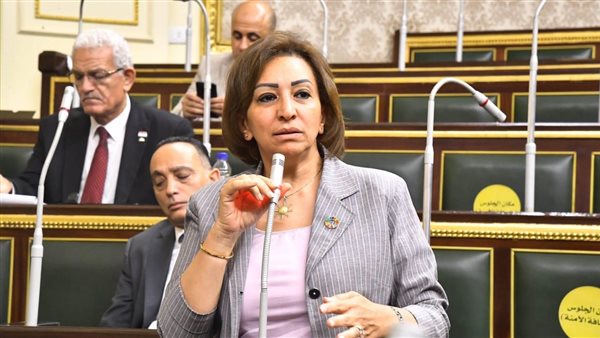 النائبة مها عبد الناصر،