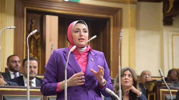 النائبة هدي عمار،