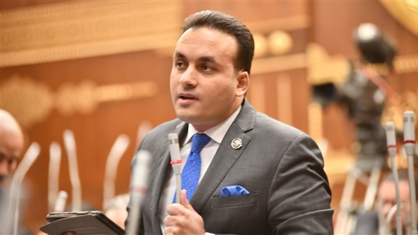 النائب عمرو فهمين