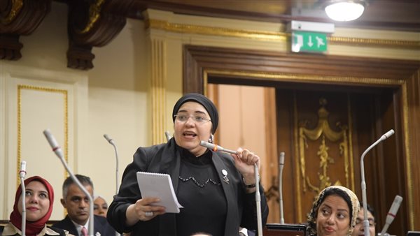 النائبة دعاء عريبي